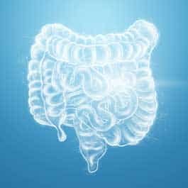 Gut Health Supplements